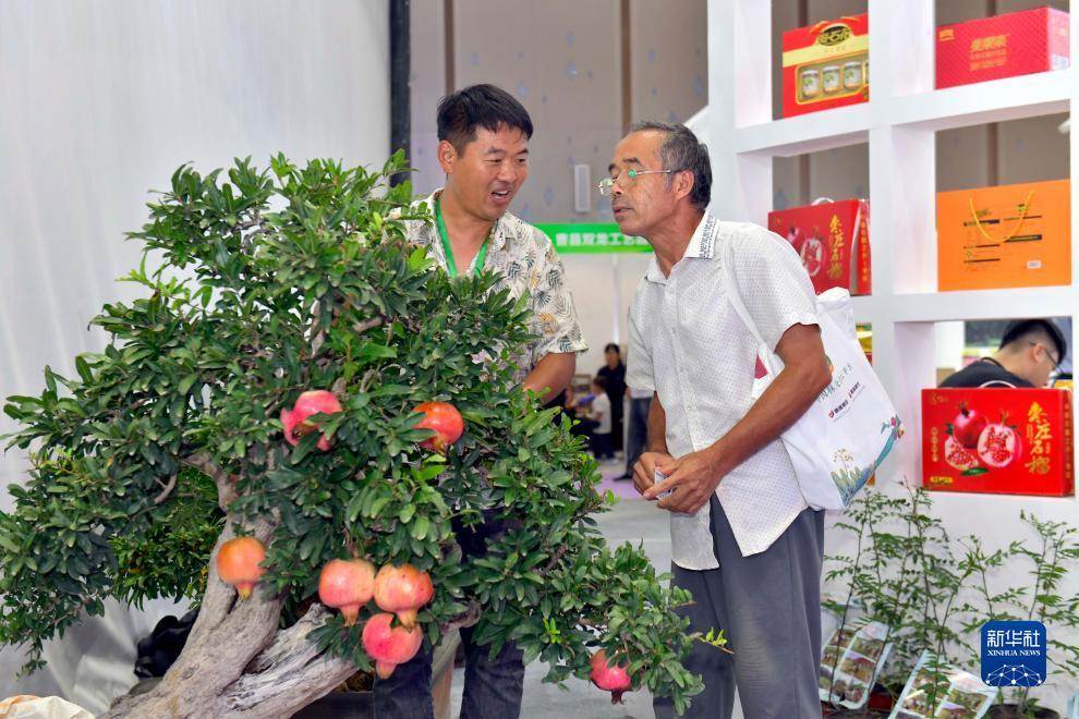 jdb捕鱼官网